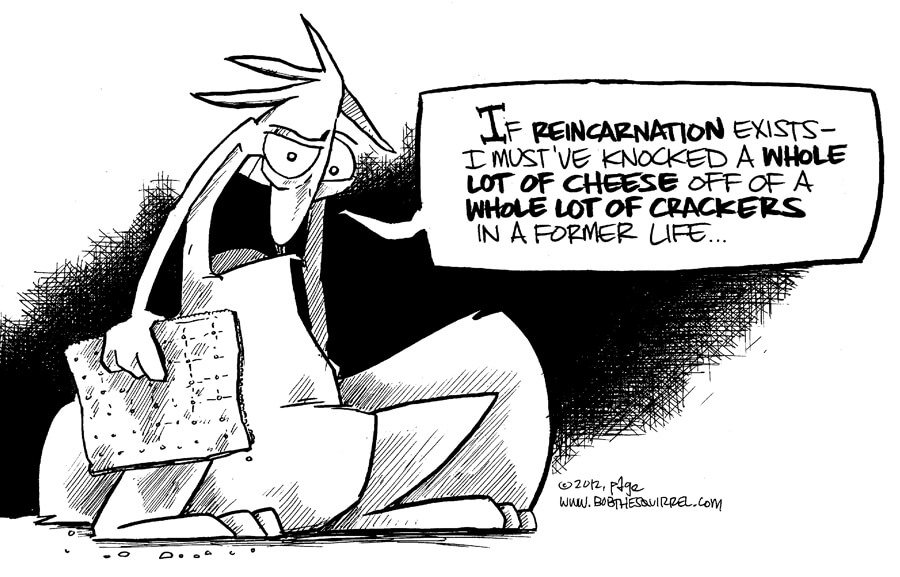 050212_reincarnation