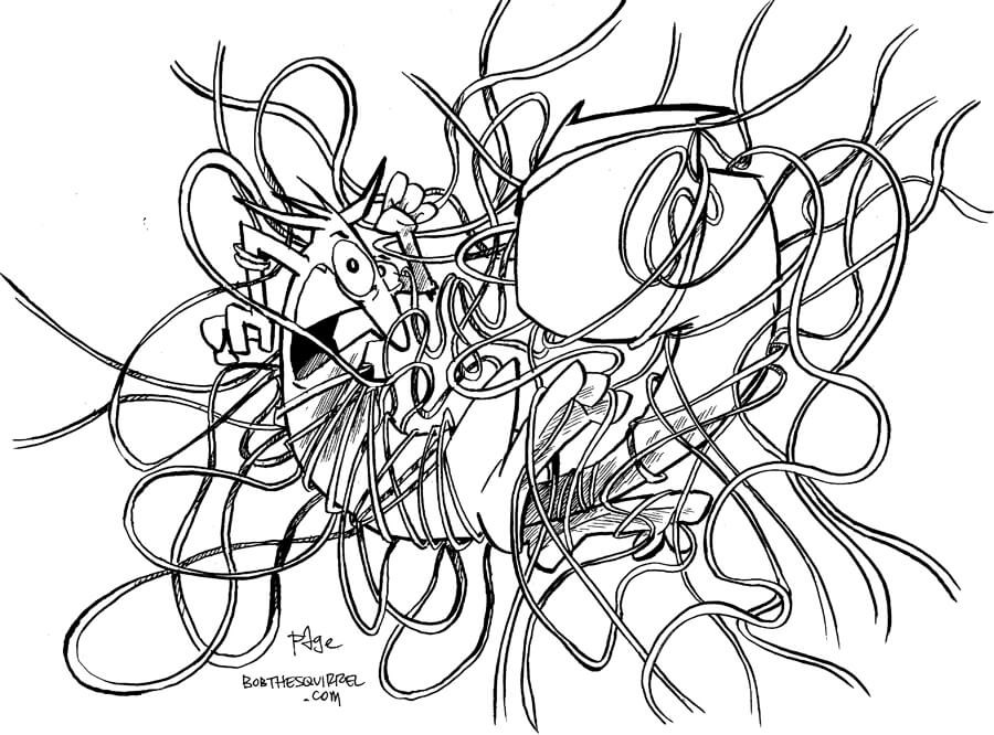050912_tangled_up_in_bob